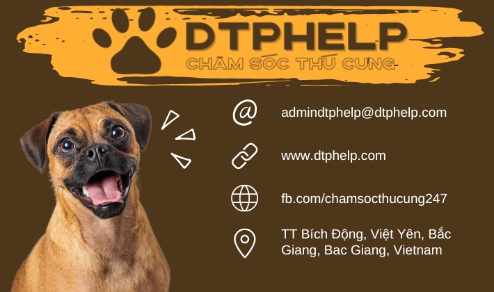 image banner XU HƯỚNG TẠI DTPHELP